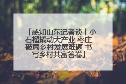 感知山东记者谈丨小石榴撬动大产业 枣庄破局乡村发展难题 书写乡村共富答卷