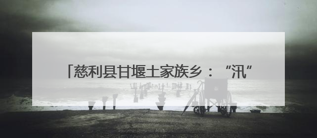 慈利县甘堰土家族乡：“汛”速响应！奋战抢险救灾一线