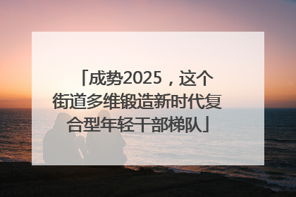 成势2025，这个街道多维锻造新时代复合型年轻干部梯队