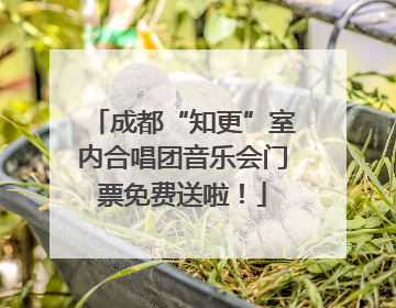 成都“知更”室内合唱团音乐会门票免费送啦！