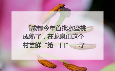 成都今年首批水蜜桃成熟了，在龙泉山这个村尝鲜“第一口”｜寻找和美乡村推荐官