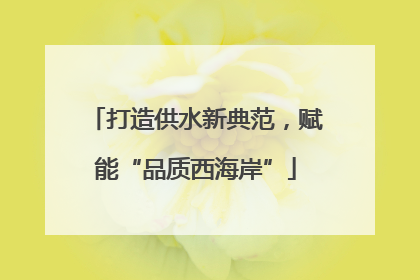 打造供水新典范，赋能“品质西海岸”