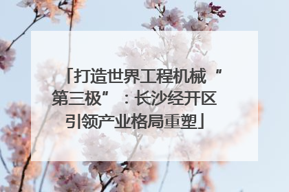 打造世界工程机械“第三极”：长沙经开区引领产业格局重塑