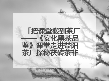 把课堂搬到茶厂——《安化黑茶品鉴》课堂走进益阳茶厂探秘茯砖茶非遗技艺