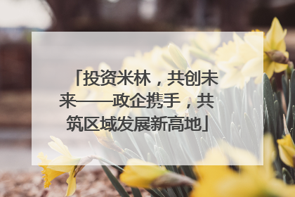 投资米林，共创未来——政企携手，共筑区域发展新高地