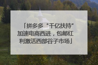 拼多多“千亿扶持”加速电商西进，包邮红利激活西部谷子市场
