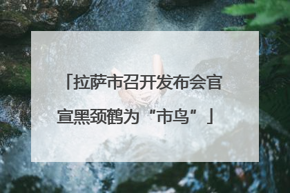 拉萨市召开发布会官宣黑颈鹤为“市鸟”