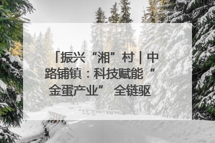 振兴“湘”村｜中路铺镇：科技赋能“金蛋产业” 全链驱动乡村振兴