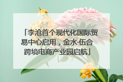 李沧首个现代化国际贸易中心启用，金水·伍合跨境电商产业园启航