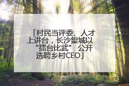 村民当评委、人才上讲台，长沙望城以“擂台比武” 公开选聘乡村CEO