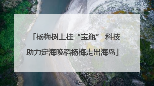 杨梅树上挂“宝瓶” 科技助力定海晚稻杨梅走出海岛