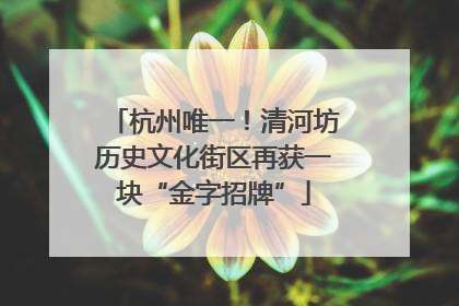 杭州唯一！清河坊历史文化街区再获一块“金字招牌”