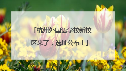 杭州外国语学校新校区来了，选址公布！