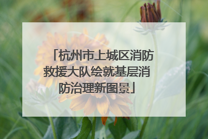 杭州市上城区消防救援大队绘就基层消防治理新图景
