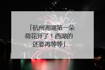 杭州湘湖第一朵荷花开了！西湖的还要再等等