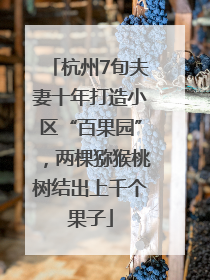 杭州7旬夫妻十年打造小区“百果园”，两棵猕猴桃树结出上千个果子