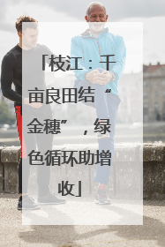 枝江：千亩良田结“金穗”，绿色循环助增收