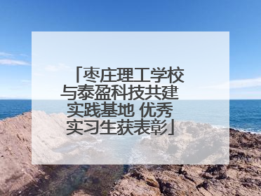 枣庄理工学校与泰盈科技共建实践基地 优秀实习生获表彰
