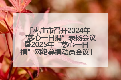 枣庄市召开2024年“慈心一日捐”表扬会议暨2025年“慈心一日捐”网络募捐动员会议