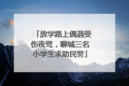 放学路上偶遇受伤夜鹭，聊城三名小学生求助民警