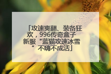 攻速爽翻、装备狂欢，996传奇盒子新服“蓝猫攻速冰雪”不嗨不成活