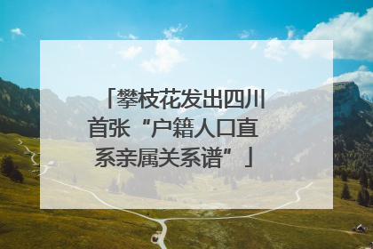 攀枝花发出四川首张“户籍人口直系亲属关系谱”