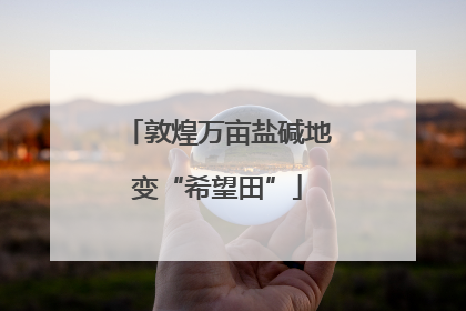 敦煌万亩盐碱地变“希望田”