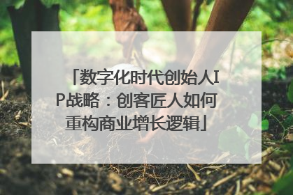 数字化时代创始人IP战略：创客匠人如何重构商业增长逻辑