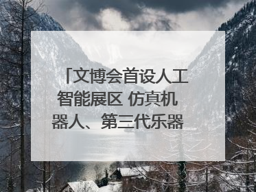 文博会首设人工智能展区 仿真机器人、第三代乐器成为人气王｜文博向“新”