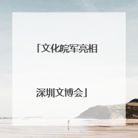 文化皖军亮相深圳文博会