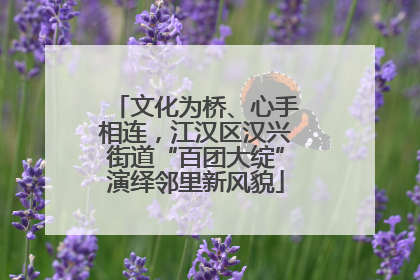 文化为桥、心手相连，江汉区汉兴街道“百团大绽”演绎邻里新风貌