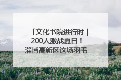 文化书院进行时｜200人激战夏日！淄博高新区这场羽毛球比赛太酷