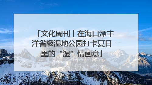 文化周刊丨在海口潭丰洋省级湿地公园打卡夏日里的“湿”情画意