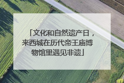 文化和自然遗产日，来西城在历代帝王庙博物馆里遇见非遗