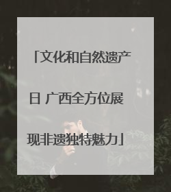 文化和自然遗产日 广西全方位展现非遗独特魅力
