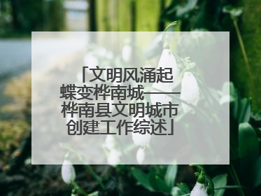 文明风涌起 蝶变桦南城——桦南县文明城市创建工作综述