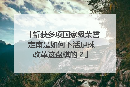 斩获多项国家级荣誉 定南是如何下活足球改革这盘棋的？