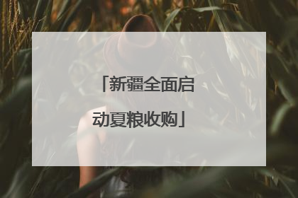 新疆全面启动夏粮收购