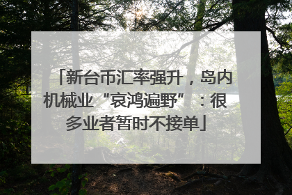 新台币汇率强升，岛内机械业“哀鸿遍野”：很多业者暂时不接单