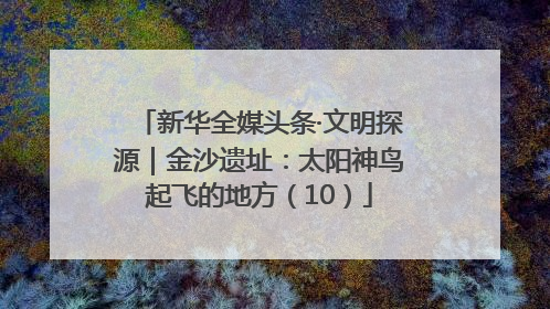 新华全媒头条·文明探源｜金沙遗址：太阳神鸟起飞的地方（10）