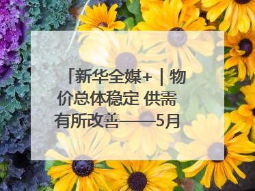 新华全媒+｜物价总体稳定 供需有所改善——5月份物价数据透视