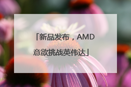 新品发布，AMD意欲挑战英伟达