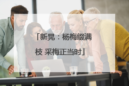 新晃：杨梅缀满枝 采梅正当时