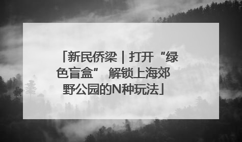 新民侨梁｜打开“绿色盲盒” 解锁上海郊野公园的N种玩法