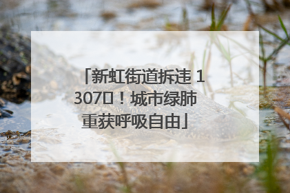 新虹街道拆违 1307㎡！城市绿肺重获呼吸自由