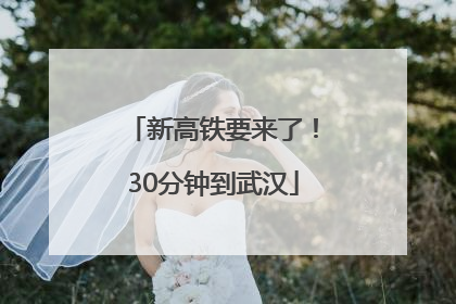 新高铁要来了！30分钟到武汉