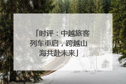 时评：中越旅客列车重启，跨越山海共赴未来