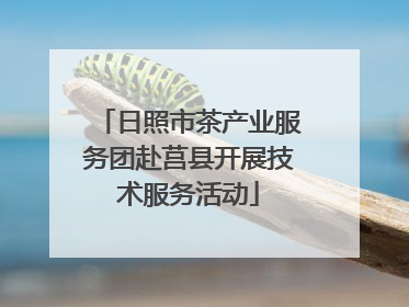 日照市茶产业服务团赴莒县开展技术服务活动