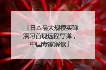 日本最大规模实弹演习首现远程导弹，中国专家解读