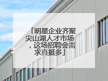 明星企业齐聚尖山湖人才市场，这场招聘会需求真挺多
